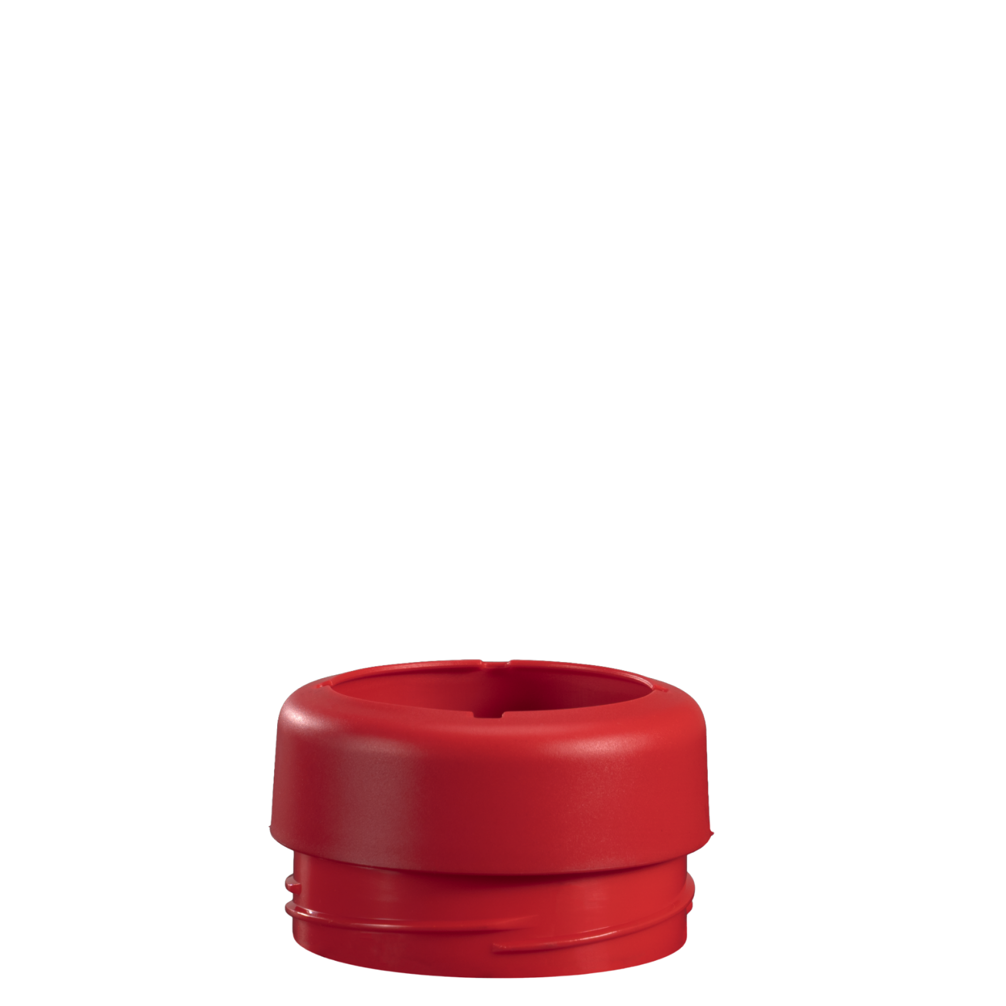 Holly - Can Cooler (Standard) 1ezv0